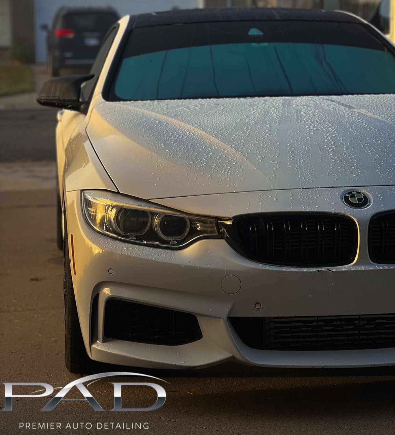 Ceramic coating - water beading on a white BMW after coating, Premier Auto Detailing Salina KS